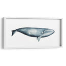 Retrato De Ballena Iii - Grace Popp | Cuadro decorativo de Canvas Lab