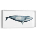 Retrato De Ballena Iii - Grace Popp | Cuadro decorativo de Canvas Lab
