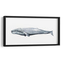 Retrato De Ballena Iv - Grace Popp | Cuadro decorativo de Canvas Lab