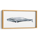 Retrato De Ballena Iv - Grace Popp | Cuadro decorativo de Canvas Lab