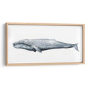 Retrato De Ballena Iv - Grace Popp | Cuadro decorativo de Canvas Lab