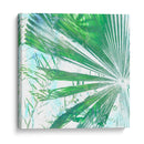 Emeralda Palms I - Pam Ilosky | Cuadro decorativo de Canvas Lab
