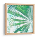 Emeralda Palms I - Pam Ilosky | Cuadro decorativo de Canvas Lab