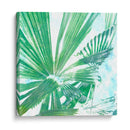 Emerald Palms Ii - Pam Ilosky | Cuadro decorativo de Canvas Lab