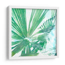 Emerald Palms Ii - Pam Ilosky | Cuadro decorativo de Canvas Lab