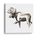 Woodland Acuarela Iii - Grace Popp | Cuadro decorativo de Canvas Lab