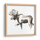 Woodland Acuarela Iii - Grace Popp | Cuadro decorativo de Canvas Lab