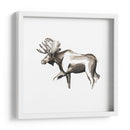 Woodland Acuarela Iii - Grace Popp | Cuadro decorativo de Canvas Lab