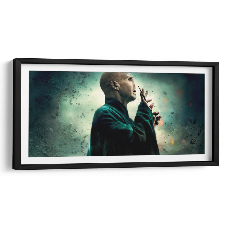 Lord Voldemort | Cuadro decorativo de Canvas Lab
