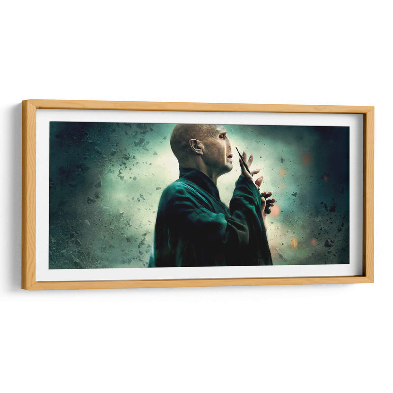 Lord Voldemort | Cuadro decorativo de Canvas Lab