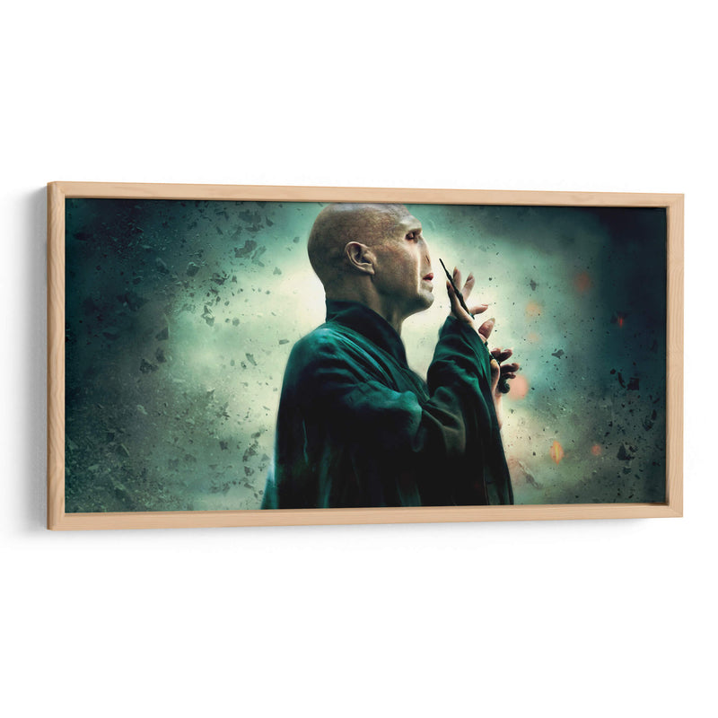 Lord Voldemort | Cuadro decorativo de Canvas Lab