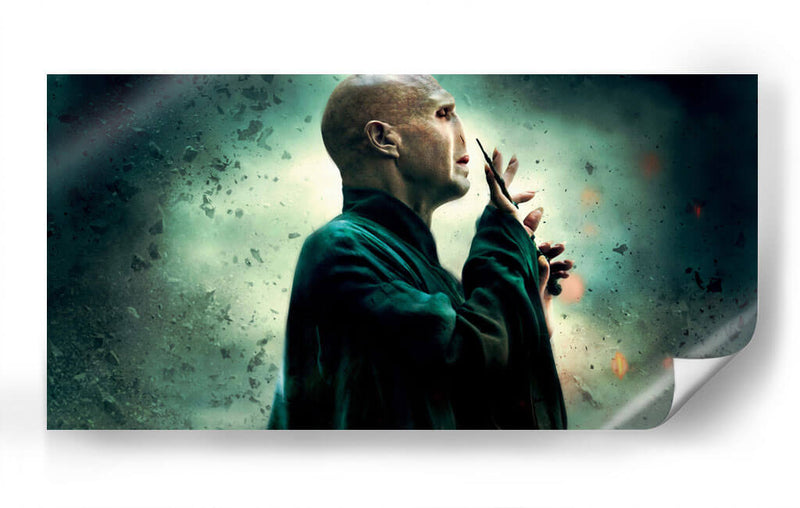 Lord Voldemort | Cuadro decorativo de Canvas Lab