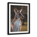 Canguro alerta | Cuadro decorativo de Canvas Lab