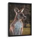 Canguro alerta | Cuadro decorativo de Canvas Lab