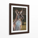 Canguro alerta | Cuadro decorativo de Canvas Lab