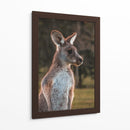 Canguro alerta | Cuadro decorativo de Canvas Lab