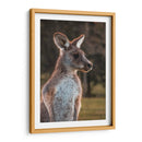 Canguro alerta | Cuadro decorativo de Canvas Lab