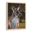 Canguro alerta | Cuadro decorativo de Canvas Lab