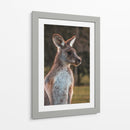 Canguro alerta | Cuadro decorativo de Canvas Lab