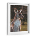 Canguro alerta | Cuadro decorativo de Canvas Lab