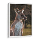 Canguro alerta | Cuadro decorativo de Canvas Lab