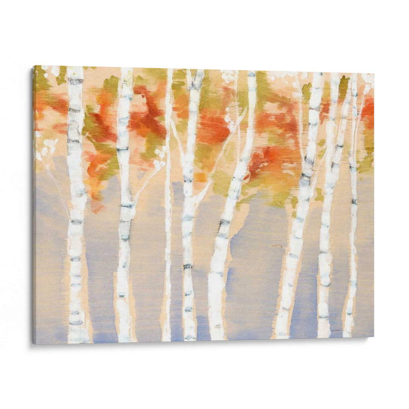 Birches Balancé Ii - Jennifer Goldberger | Cuadro decorativo de Canvas Lab