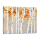 Birches Balancé Ii - Jennifer Goldberger | Cuadro decorativo de Canvas Lab