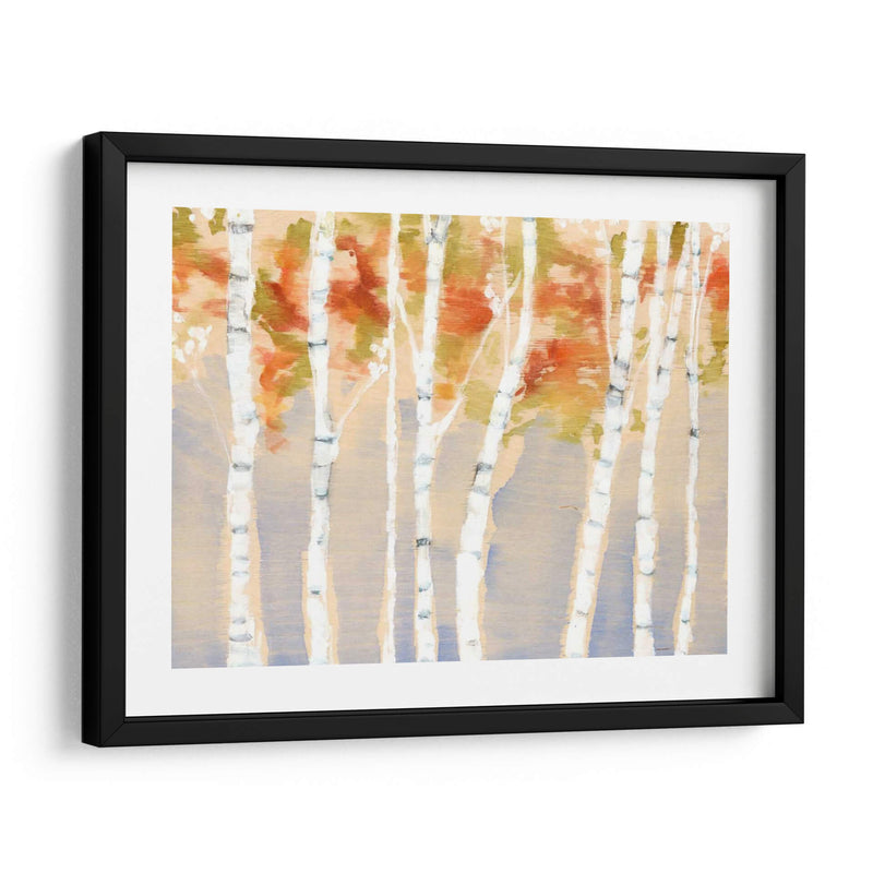 Birches Balancé Ii - Jennifer Goldberger | Cuadro decorativo de Canvas Lab