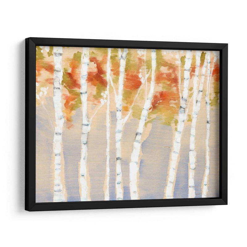 Birches Balancé Ii - Jennifer Goldberger | Cuadro decorativo de Canvas Lab