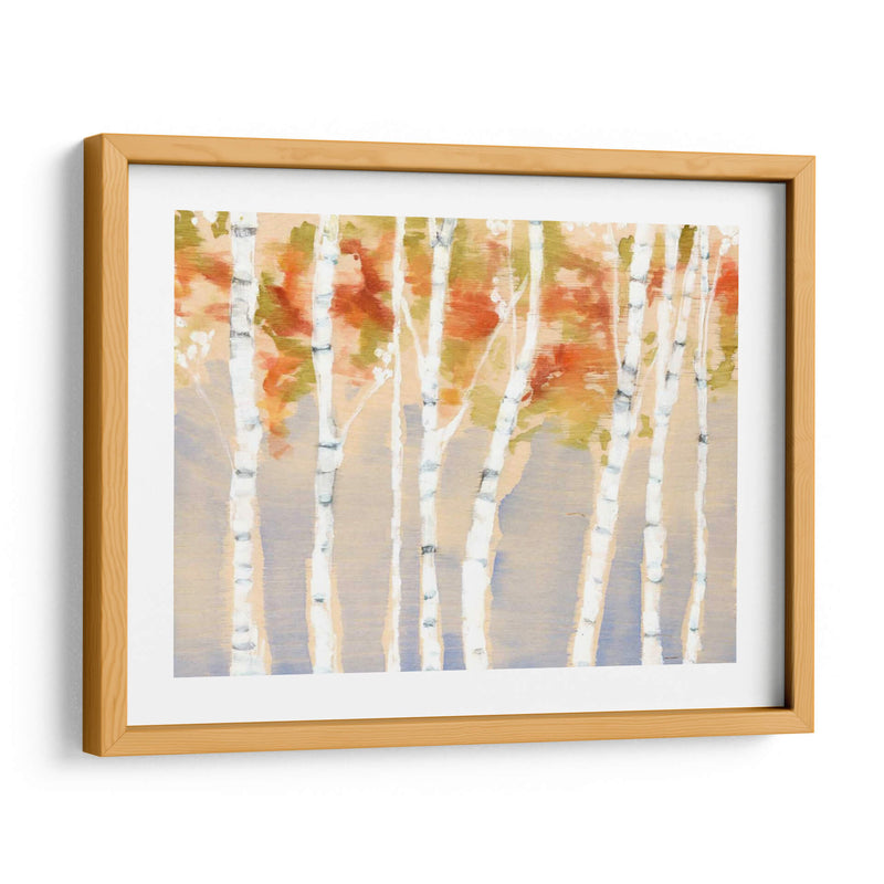 Birches Balancé Ii - Jennifer Goldberger | Cuadro decorativo de Canvas Lab