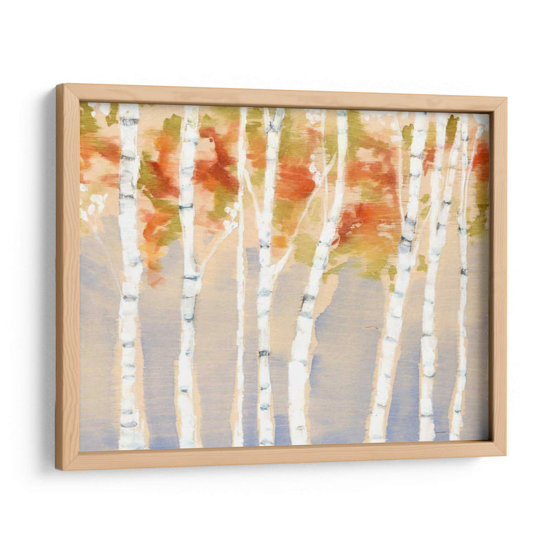 Birches Balancé Ii - Jennifer Goldberger | Cuadro decorativo de Canvas Lab