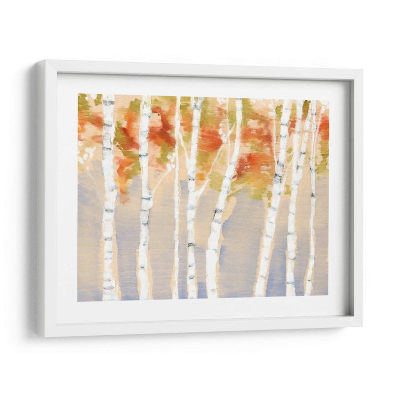 Birches Balancé Ii - Jennifer Goldberger | Cuadro decorativo de Canvas Lab