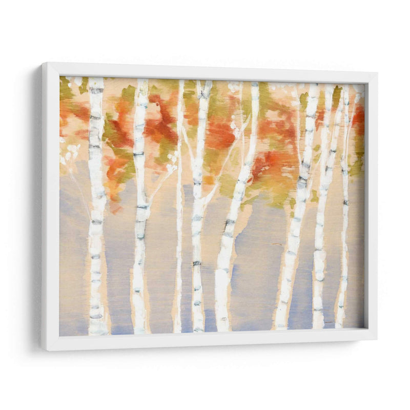 Birches Balancé Ii - Jennifer Goldberger | Cuadro decorativo de Canvas Lab