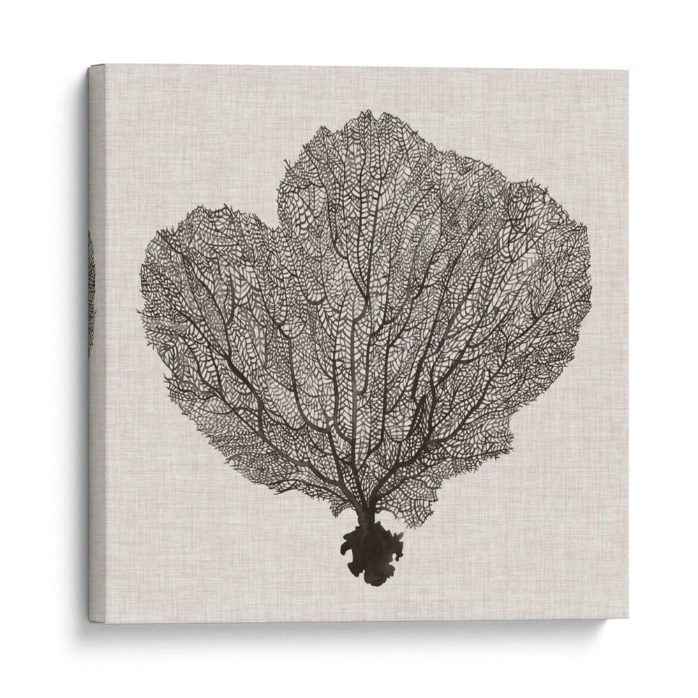 Fan De La Sombra Del Mar I - Grace Popp | Cuadro decorativo de Canvas Lab