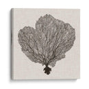 Fan De La Sombra Del Mar I - Grace Popp | Cuadro decorativo de Canvas Lab