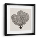 Fan De La Sombra Del Mar I - Grace Popp | Cuadro decorativo de Canvas Lab