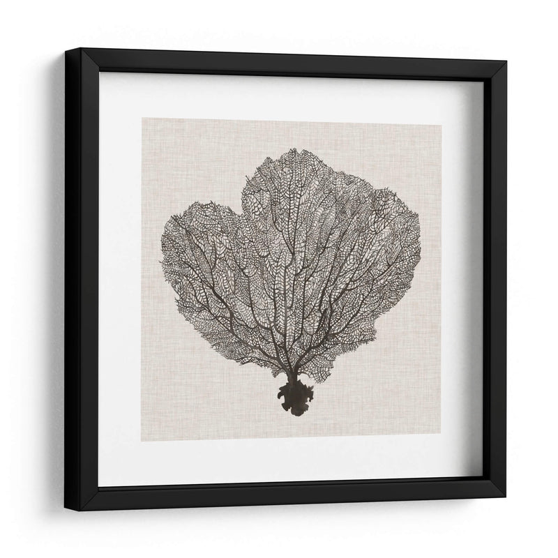 Fan De La Sombra Del Mar I - Grace Popp | Cuadro decorativo de Canvas Lab