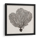 Fan De La Sombra Del Mar I - Grace Popp | Cuadro decorativo de Canvas Lab