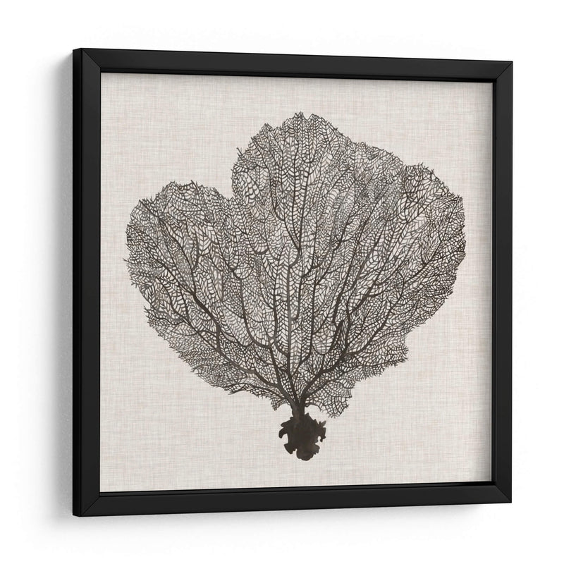 Fan De La Sombra Del Mar I - Grace Popp | Cuadro decorativo de Canvas Lab