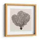 Fan De La Sombra Del Mar I - Grace Popp | Cuadro decorativo de Canvas Lab