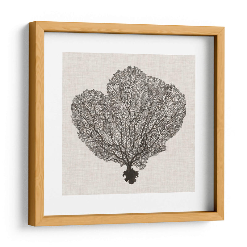 Fan De La Sombra Del Mar I - Grace Popp | Cuadro decorativo de Canvas Lab