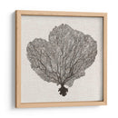 Fan De La Sombra Del Mar I - Grace Popp | Cuadro decorativo de Canvas Lab