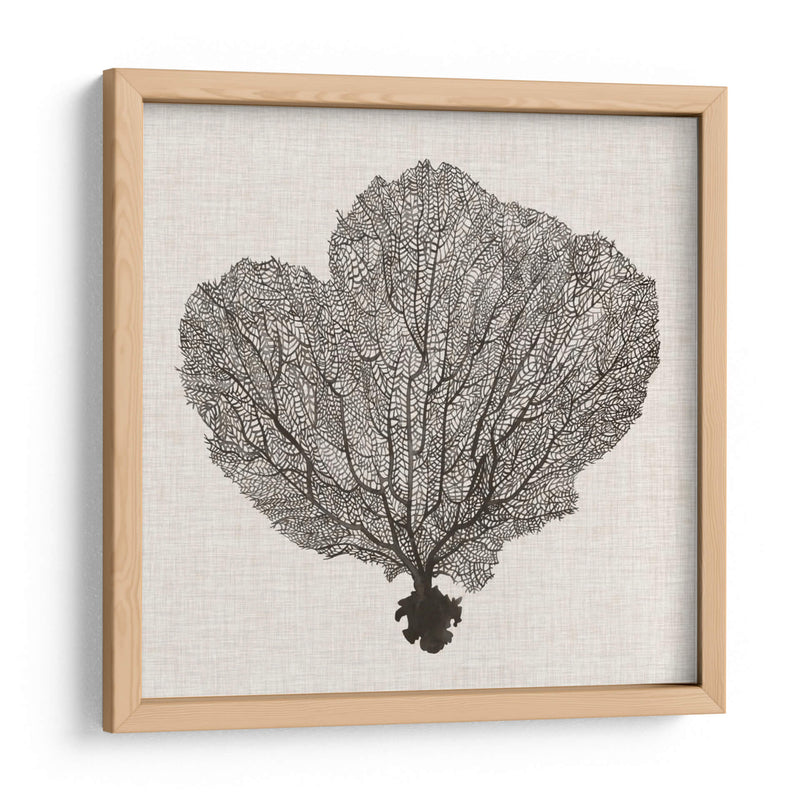 Fan De La Sombra Del Mar I - Grace Popp | Cuadro decorativo de Canvas Lab