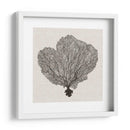 Fan De La Sombra Del Mar I - Grace Popp | Cuadro decorativo de Canvas Lab