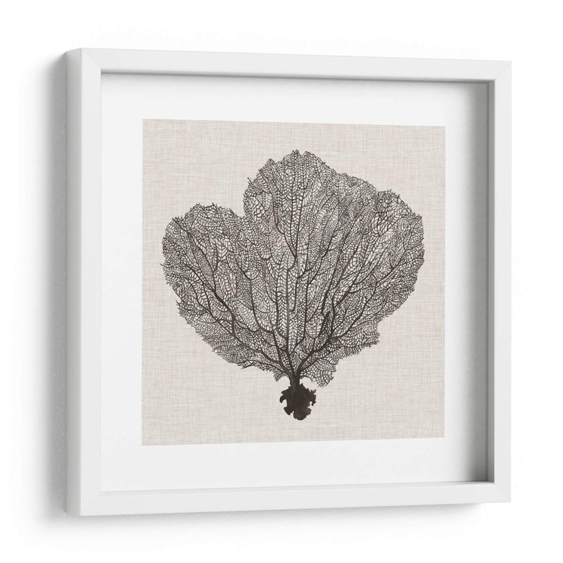 Fan De La Sombra Del Mar I - Grace Popp | Cuadro decorativo de Canvas Lab