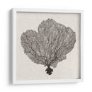 Fan De La Sombra Del Mar I - Grace Popp | Cuadro decorativo de Canvas Lab