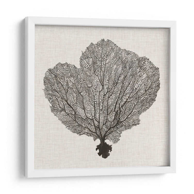 Fan De La Sombra Del Mar I - Grace Popp | Cuadro decorativo de Canvas Lab