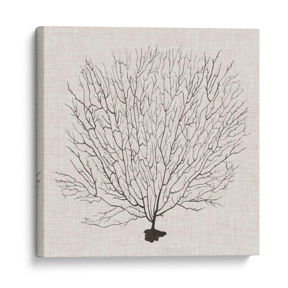 Fanático De La Sombra Del Mar Ii - Grace Popp | Cuadro decorativo de Canvas Lab