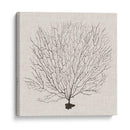 Fanático De La Sombra Del Mar Ii - Grace Popp | Cuadro decorativo de Canvas Lab