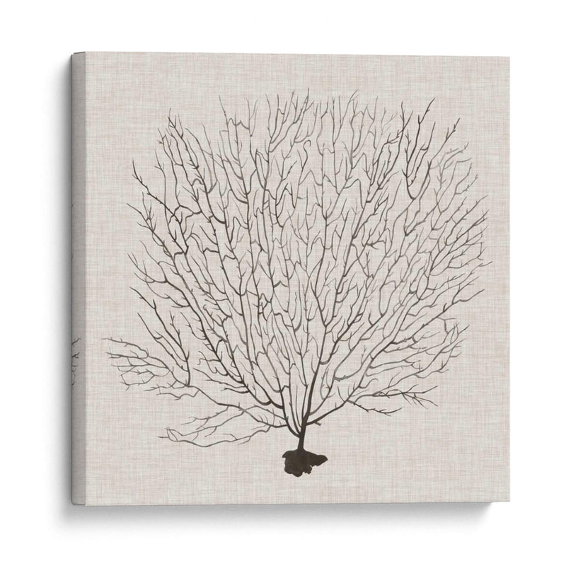 Fanático De La Sombra Del Mar Ii - Grace Popp | Cuadro decorativo de Canvas Lab